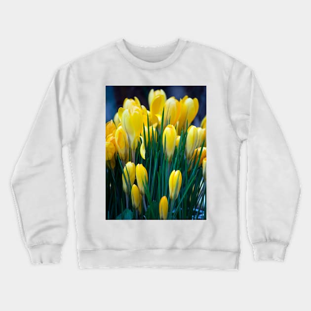 Yellow crocus Crewneck Sweatshirt by BonniePhantasm